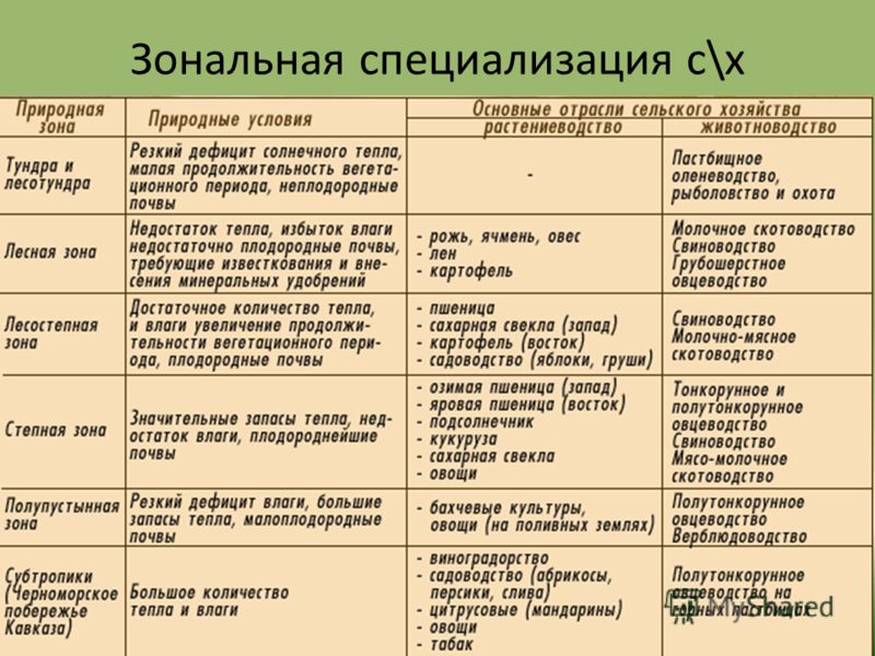 8 составьте схему основные сельскохозяйственные культуры и районы их возделывания