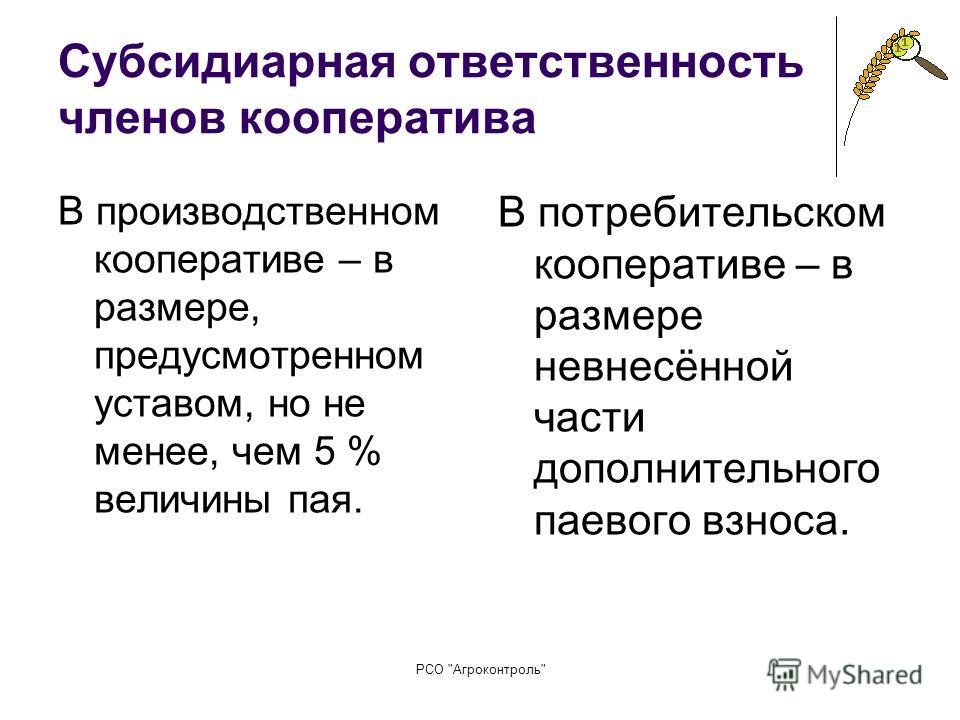 Субсидиарная ответственность ооо