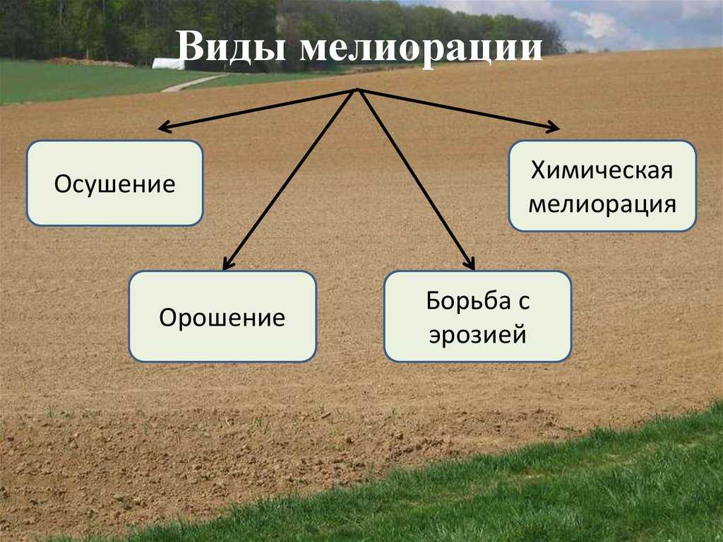 Какие категории земель бывают: что это, виды, как определить, как перевести