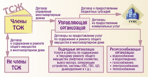 Содержание тсж членами тсж. Схема управления ТСЖ. Управление ТСЖ В многоквартирном доме. Схема управления многоквартирным домом. Договор управления с управляющей компанией.