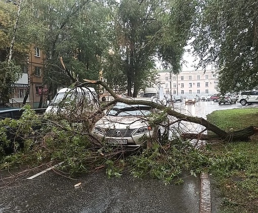 Падение дерева на автомобиль