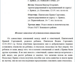 Как написать заявление в суд на установление отцовства – Установление отцовства в судебном порядке в 2018 году: пошаговая инструкция установления отцовства в судебном порядке, решение суда по ДНК, образец заявления, основания и порядок подачи необходимых документов в суд, правовые последствия