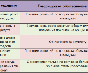 Минусы тсж в многоквартирном доме – Шесть минусов ТСЖ — ТСЖ