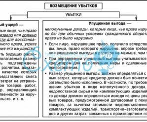 Реальный ущерб и упущенная выгода – : —